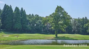 市原京急カントリークラブのフェアウェイと春の青空
