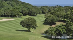 勝浦東急ゴルフコースの南国リゾート風景と太平洋の絶景