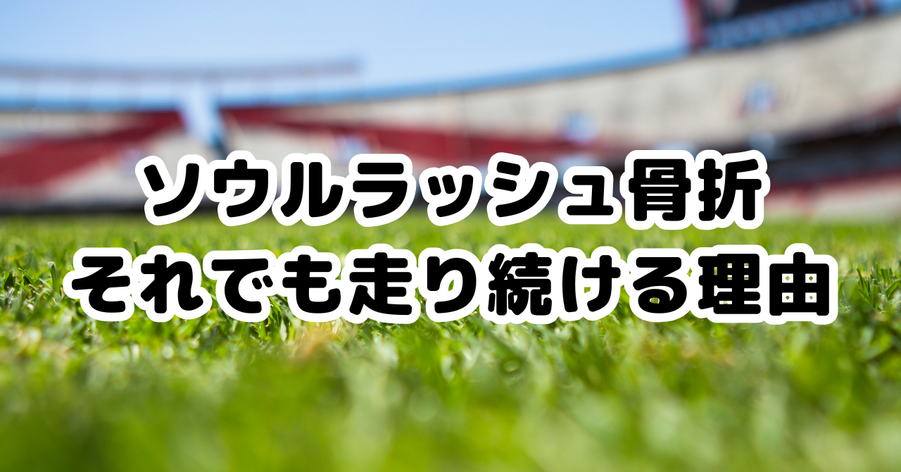 ソウルラッシュの骨折から復帰までのスケジュールを示す図解