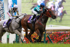 2024年安田記念のレース展開図と位置取りのイメージ